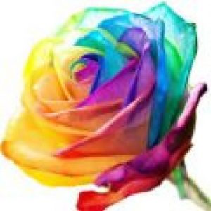 Making your memories…